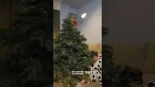 Намотала 500 МЕТРОВ гирлянды на елку🎄😱 