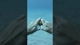 [Behind the Scenes] Diver Cracks Egg at 45 ft Deep 