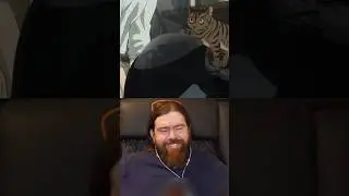 Мотокот 