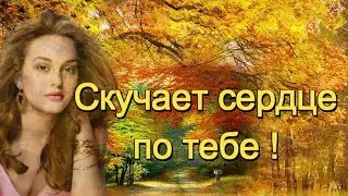 Елена Соболева - СКУЧАЕТ СЕРДЦЕ ЗА ТОБОЙ! Прекрасная песня о любви и осени! Премьера 2021.