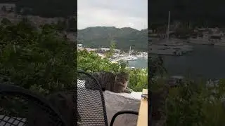 Кто угадает страну?😹