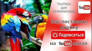 How to put the SUBSCRIBE button on top of the video in the lower right corner on YouTube. Branding.