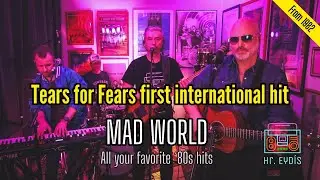 Mad World (TEARS FOR FEARS) cover by Hr. Eydís (Mr. 80s)