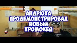 СТРИМ МОПС ДЯДЯ ПЕС | НОВЫЙ ХРОМОКЕЙ с немагией | БАН КАНАЛА