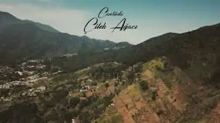 Canrüda - Çilek Ağacı (No mix.) 2019