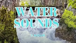 Relaxing Water Sounds for Sleep, Study & Stress Relief | Nature Ambience (1 Hour)
