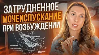 Затрудненное мочеиспускание после полового акта. Женская половая физиология