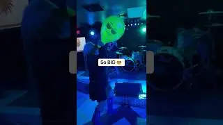 Dancing with Mr. Cool 😎 
