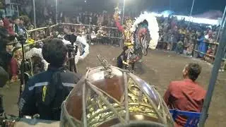 Jaranan Pegon Terbaru Kudho Panglaras feat Bolo Barong Panglaras