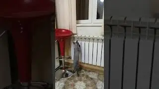 сладкая месть нашего кошака на вчерашние посиделки соседей