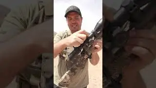 Sightmark Presidio First Look