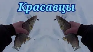 #Туруханск