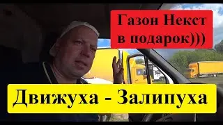 Воскресные будни. Залипаем с подарочным Газоном Некст 10.0. #грузоперевозки #газоннекст #перевозчик