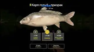 РР4 Оз Янтарное 3 Призрака Подряд