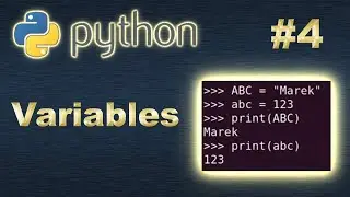 Python Variables - what is a variable and how to work with it?