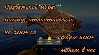 80 банка порадовала неплохими экземплярами 