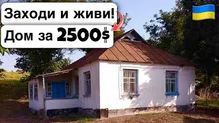 🇺🇦 Заходи и живи! Дом в селе за 2500$ Продажа недвижимости за копейки! Всё есть Уютное тихое село!