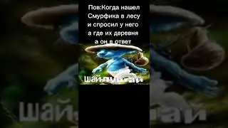 мем 
