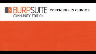 How to intercept chrome browser request using burp suite