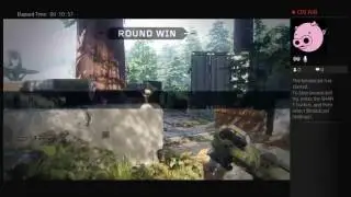 Bo3