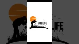#creativephotoediting #photo_editing_in_pixellab || pixellab logo design