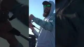 Разделение.