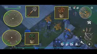 Last Day on Earth Survival | Pine tree and Oak Seedling / Retoño de pino y de Roble | LDoE