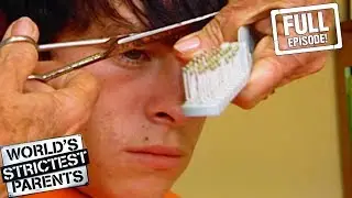 The 