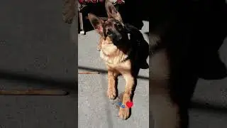 #Лучик