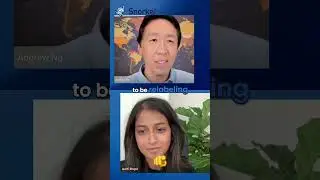 Data-centric AI for iterating on vast data sets: Andrew Ng's view