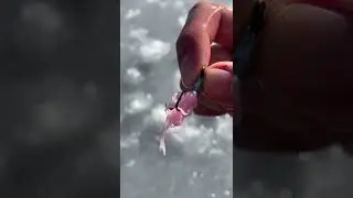 Day 1 of learning how to ice fish in Massachusetts 