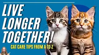 Cat Care Tips and Health from A to Z for Beginners: Your Baby Cat Will Live Longer