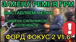 Замена ремня ГРМ Ford Focus 2 1,6 метки Грм / Меняем сальник коленвала Форд Фокус 2