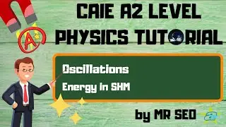 [PHYSICS] Energy in SHM | Oscillations | Part 2