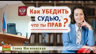 Как убедить судью, что ты прав?
