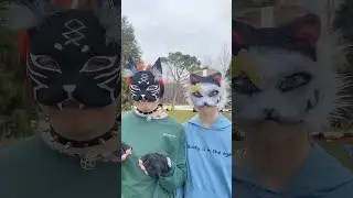 Это наша стая~~ сходка квд 