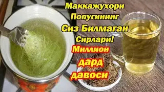 ОЗИШ ВА СОГАЙИШ МАККАЖУХОРИ ПОПУГИНИ ИСТЕМОЛ КИЛСАНГИЗ НИМА БУЛИШИНИ КУРИНГ! ПОЛЬЗА КУКУРУЗНЫХ РЫЛЕЦ