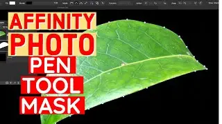 How To MASK Using Pen Tool In Affinity Photo Tutorial