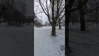 зима не сдаётся.
