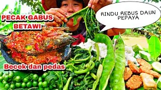 PECAK GABUS BETAWI. COCOL DAUN PEPAYA REBUS ASLI BIKIN NAMBAH NASI , BECEK DAN PEDAS 🤤