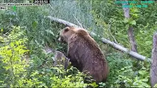 18.06.2023    