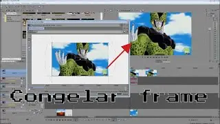 Como congelar un frame en SONY VEGAS