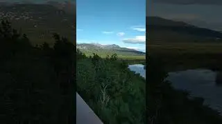 Аляска Заповедник дикой природы Летний вечер в Potter Marsh Wildlife Refuge Анкоридж Жизнь в США