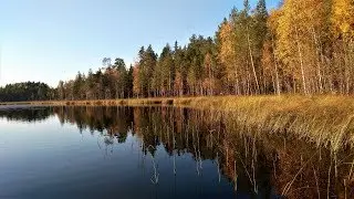 Неудачная охота. Озеро Рыбное. Часть 3.  Bad hunting. Lake Rybnoe. Part 3