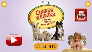 Собаки и щенки. Твоя ПЕРВАЯ энциклопедия! Часть 10