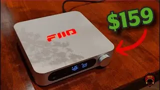 Z Gushes over the FiiO K11 