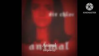 Sir Chloe : Animal - Животное (перевод)