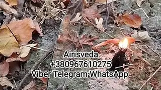 Обряд. Защита Непрогляд . 33 Беса на Защиту. Замок .