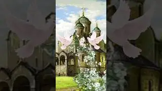 #shortvideo