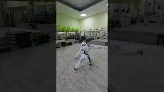 Базовая техника каратэ Шинкиокушинкай, синхронная работа. Basic technics kyokushin.